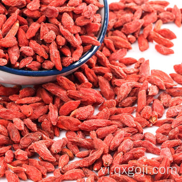 Ninh Hạ hữu cơ khô đỏ goji quả berry